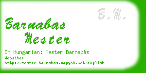 barnabas mester business card